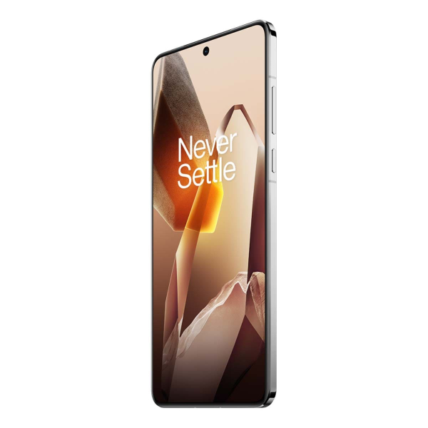 OnePlus 13 (2024) 16/512Gb White, белый