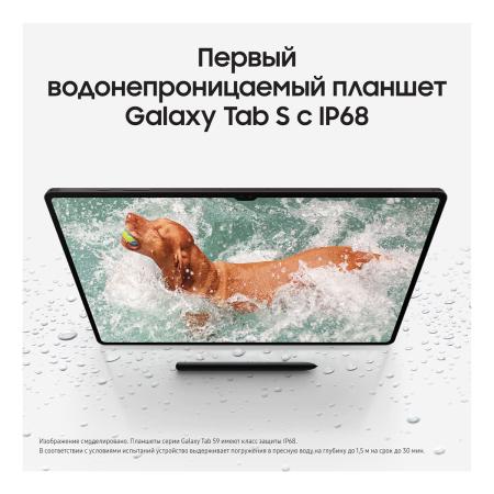 Samsung Galaxy Tab S9+ 12,4" Wi-Fi 12/256Gb Graphite, графит